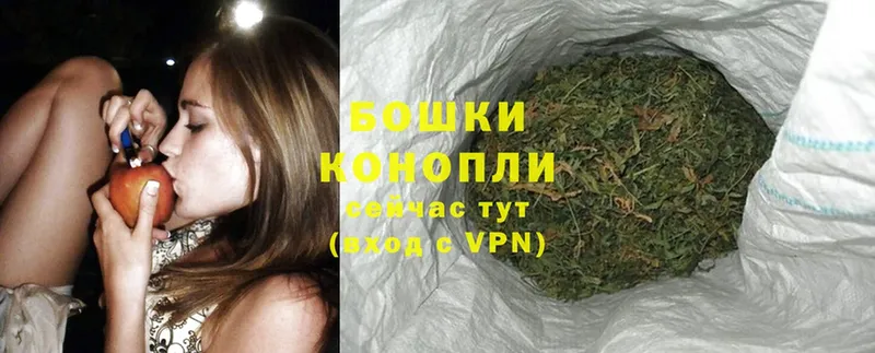 закладки  это наркотические препараты  Бошки марихуана White Widow  Андреаполь  kraken ссылки 